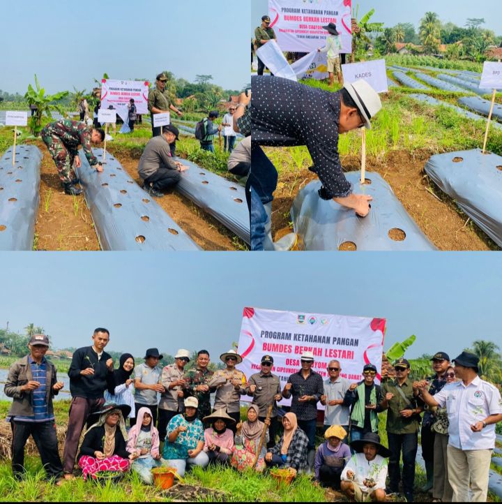 Desa ciroyom loncing ketahanan pangan / Bumdes 2025 17588008243626670179457705780816.jpg