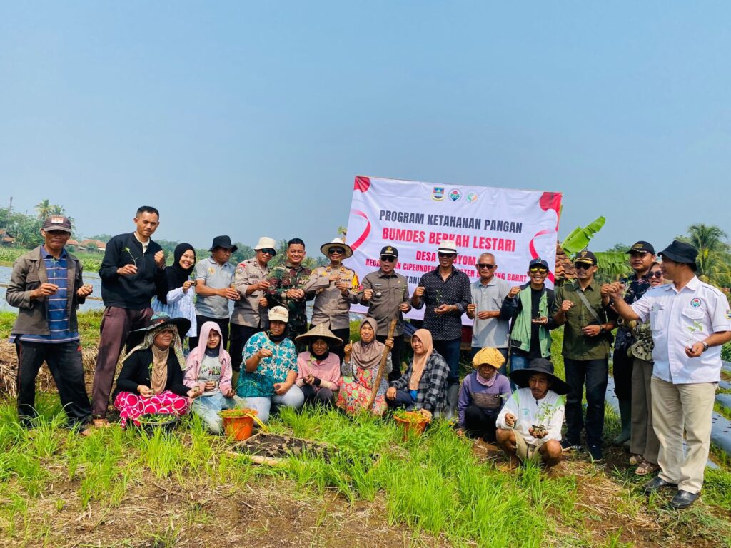 Desa ciroyom loncing ketahanan pangan / Bumdes 2025 img 20250925 wa0116552892403924825178.jpg