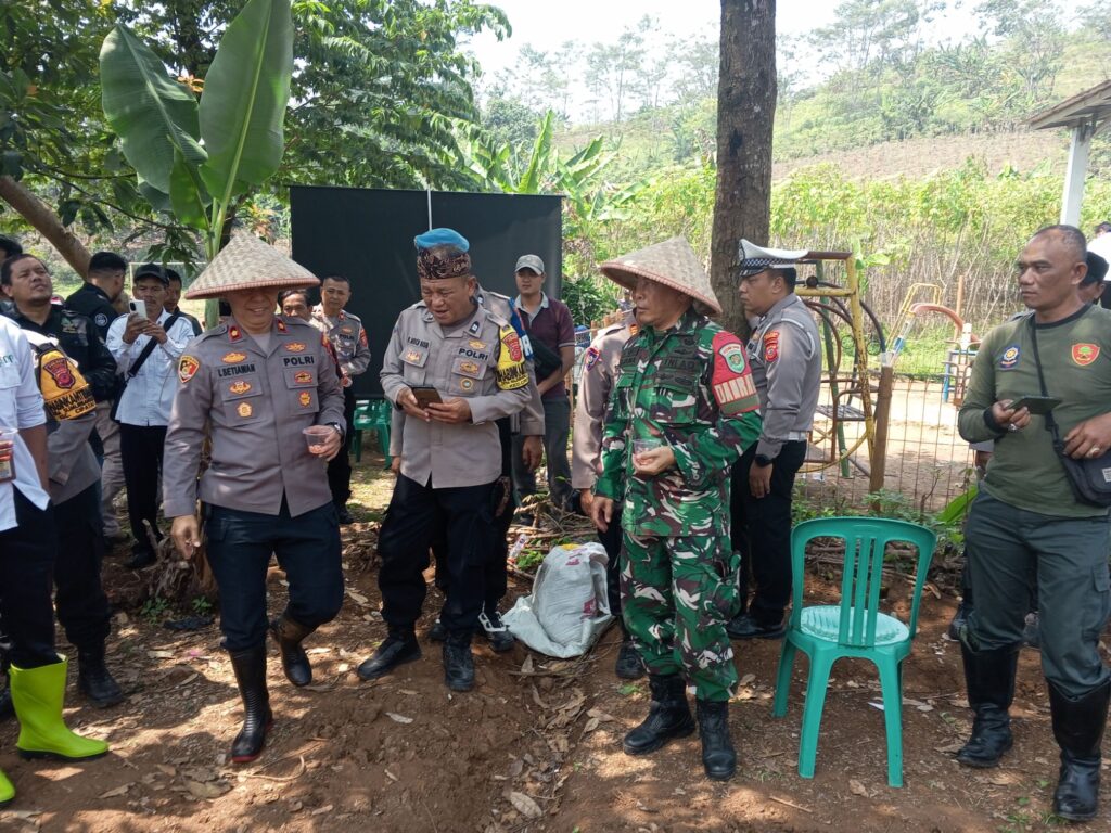 img 20251008 100952 289913864172365337241.jpg