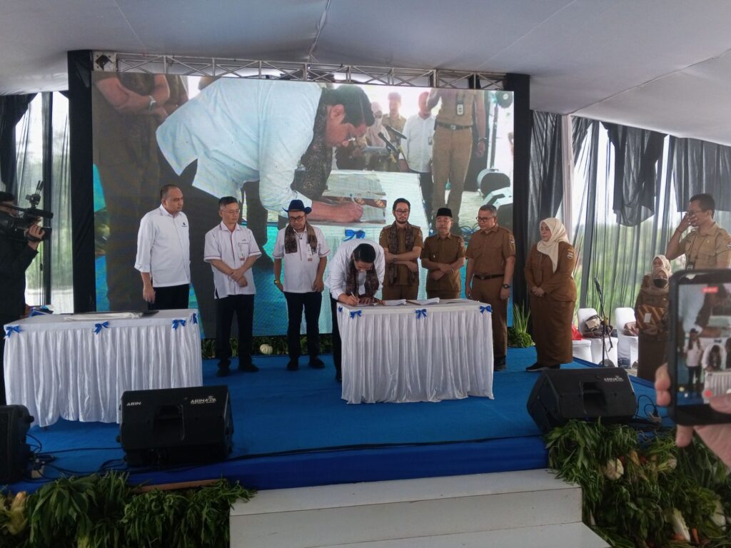 img 20251208 095629 5743993947873060222900.jpg