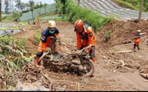 17705152692566081305029973637929 300x188