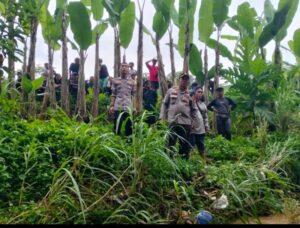 17705330022662319226455342147117 300x228